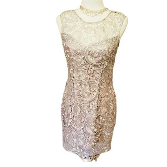 Francesca’s Lace Overlay Mini Dress – Silver/White, Elegant, Size Medium - Picture 1 of 13